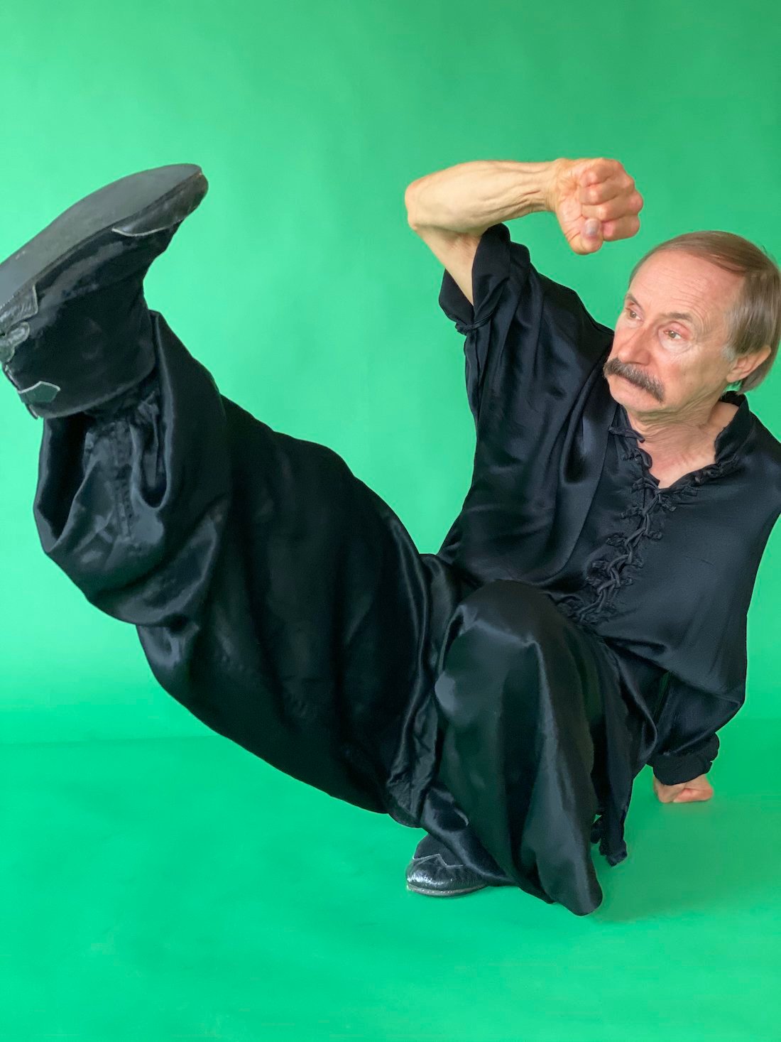 Monkey Kung fu