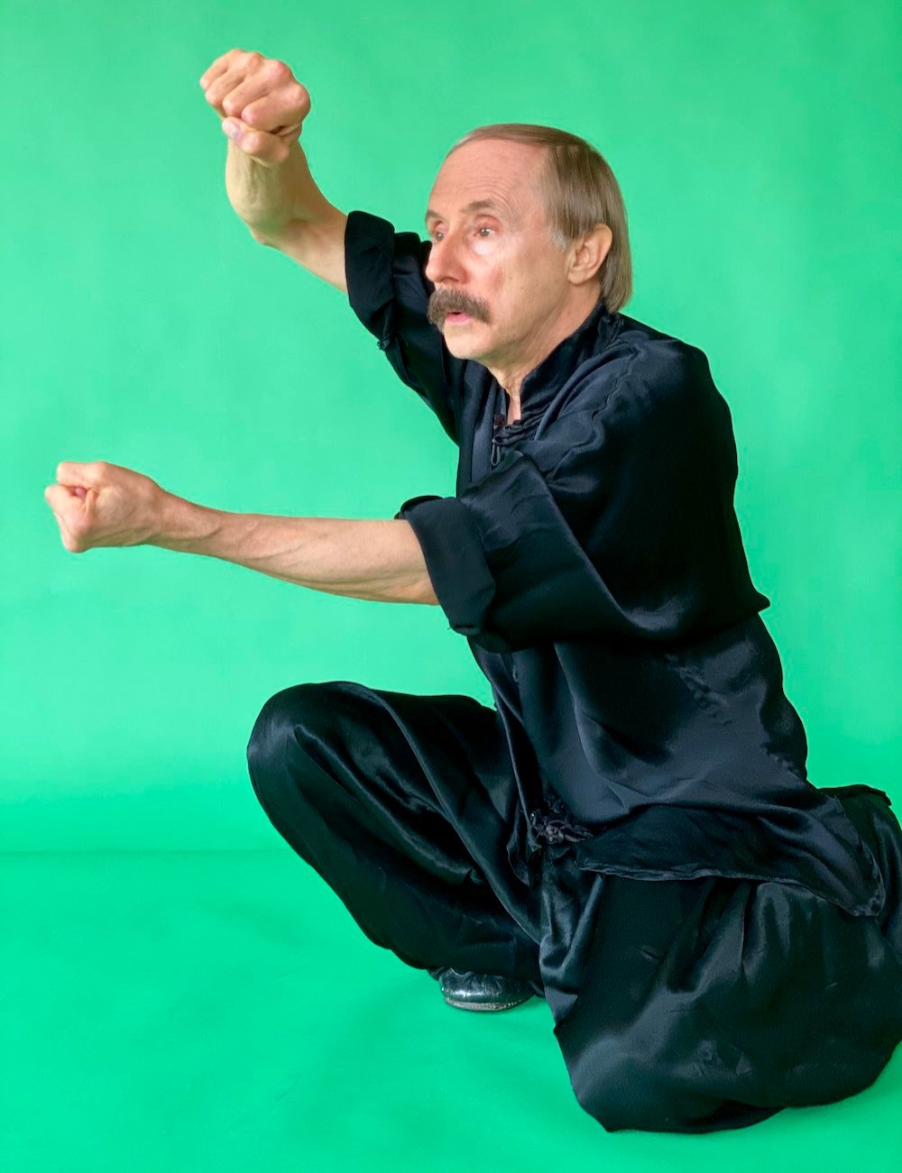 Monkey Kung fu