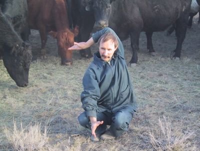 yin-yoga-cow-posture yin yoga
