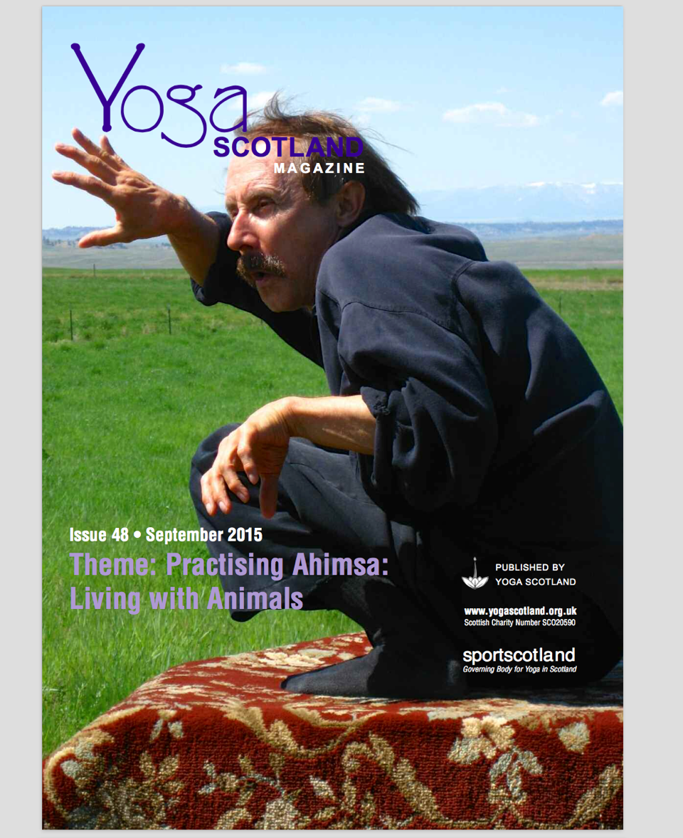 healing-art-of-yin-yoga-mag healing art of yin yoga