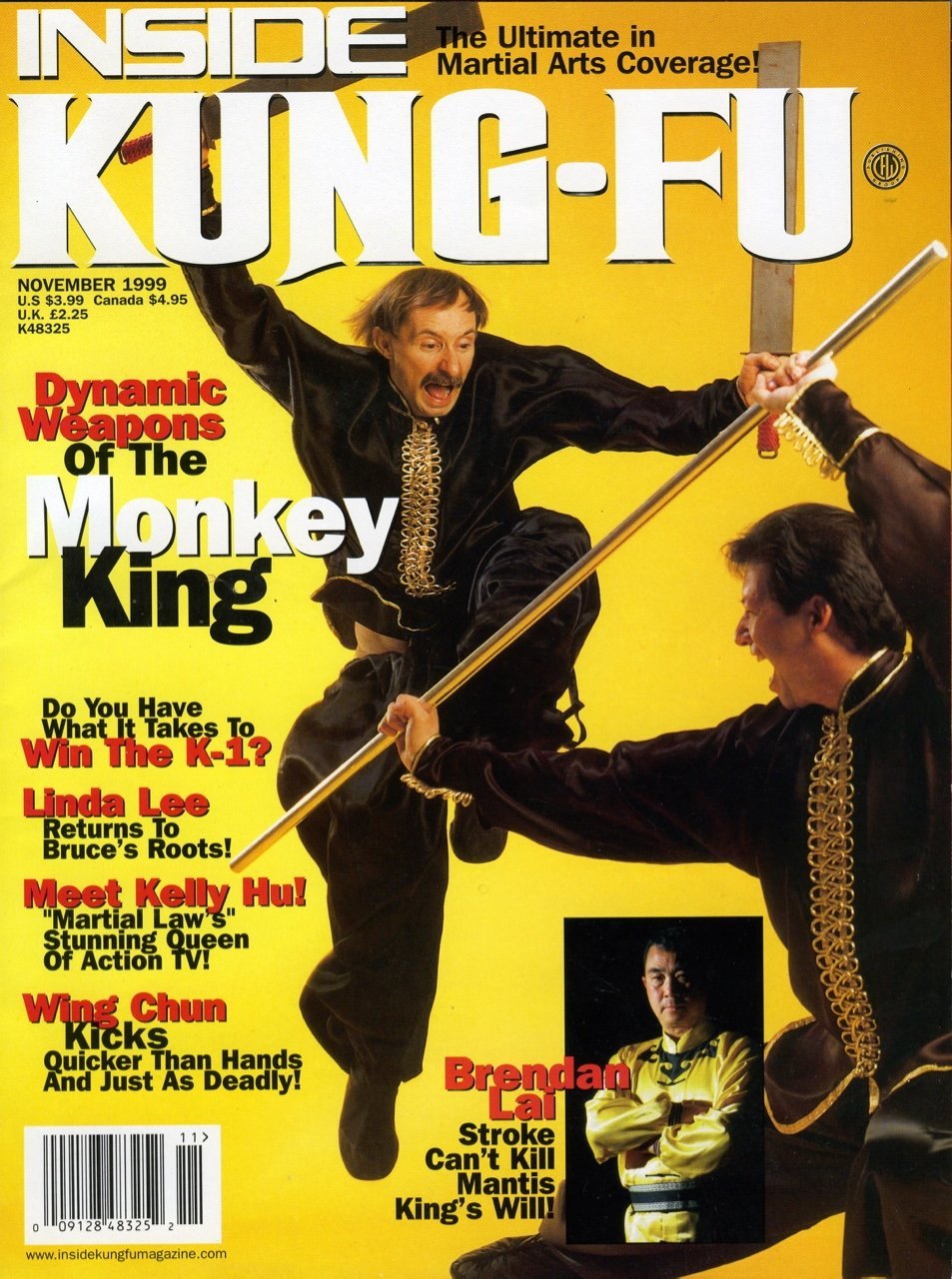 Monkey Kung fu